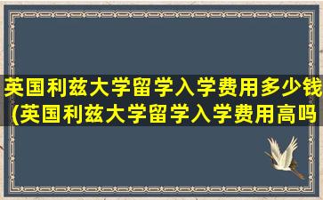 英国利兹大学留学入学费用多少钱(英国利兹大学留学入学费用高吗)