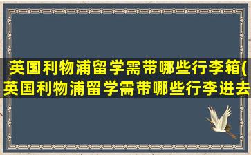 英国利物浦留学需带哪些行李箱(英国利物浦留学需带哪些行李进去)