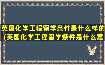 英国化学工程留学条件是什么样的(英国化学工程留学条件是什么意思)