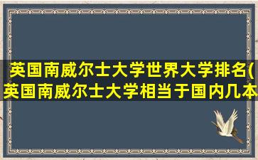 英国南威尔士大学世界大学排名(英国南威尔士大学相当于国内几本)