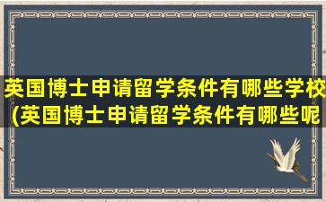 英国博士申请留学条件有哪些学校(英国博士申请留学条件有哪些呢)