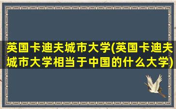 英国卡迪夫城市大学(英国卡迪夫城市大学相当于中国的什么大学)