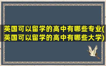 英国可以留学的高中有哪些专业(英国可以留学的高中有哪些大学)