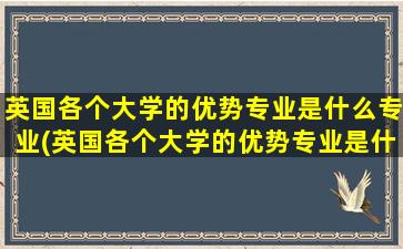 英国各个大学的优势专业是什么专业(英国各个大学的优势专业是什么样的)