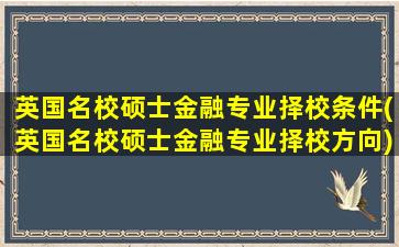 英国名校硕士金融专业择校条件(英国名校硕士金融专业择校方向)