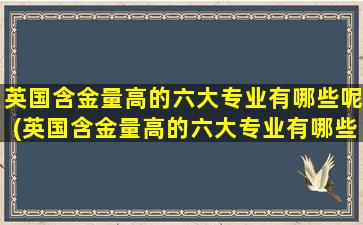 英国含金量高的六大专业有哪些呢(英国含金量高的六大专业有哪些大学)