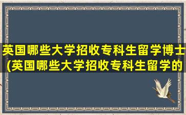 英国哪些大学招收专科生留学博士(英国哪些大学招收专科生留学的)