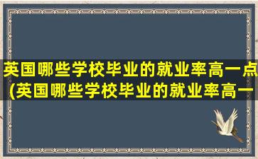 英国哪些学校毕业的就业率高一点(英国哪些学校毕业的就业率高一些)