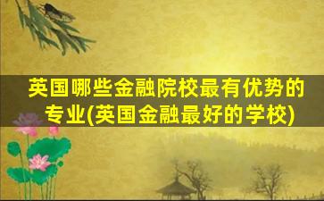 英国哪些金融院校最有优势的专业(英国金融最好的学校)