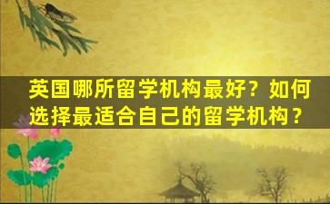 英国哪所留学机构最好？如何选择最适合自己的留学机构？