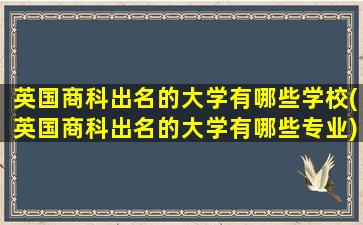 英国商科出名的大学有哪些学校(英国商科出名的大学有哪些专业)