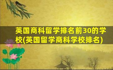 英国商科留学排名前30的学校(英国留学商科学校排名)