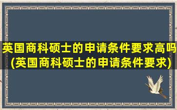 英国商科硕士的申请条件要求高吗(英国商科硕士的申请条件要求)