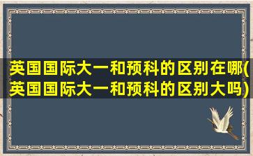 英国国际大一和预科的区别在哪(英国国际大一和预科的区别大吗)