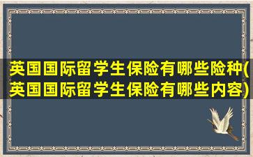 英国国际留学生保险有哪些险种(英国国际留学生保险有哪些内容)