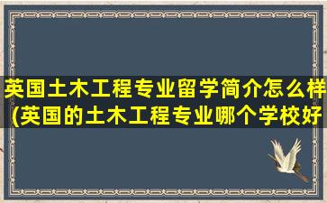 英国土木工程专业留学简介怎么样(英国的土木工程专业哪个学校好)