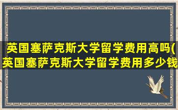 英国塞萨克斯大学留学费用高吗(英国塞萨克斯大学留学费用多少钱)