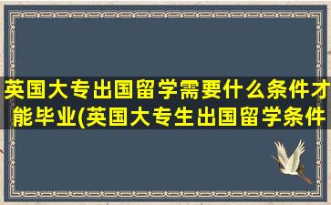 英国大专出国留学需要什么条件才能毕业(英国大专生出国留学条件)