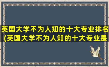 英国大学不为人知的十大专业排名(英国大学不为人知的十大专业是什么)