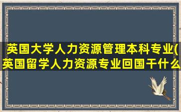 英国大学人力资源管理本科专业(英国留学人力资源专业回国干什么)