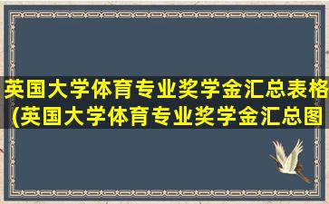 英国大学体育专业奖学金汇总表格(英国大学体育专业奖学金汇总图)