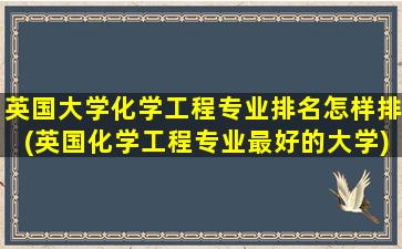 英国大学化学工程专业排名怎样排(英国化学工程专业最好的大学)