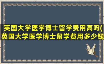 英国大学医学博士留学费用高吗(英国大学医学博士留学费用多少钱)