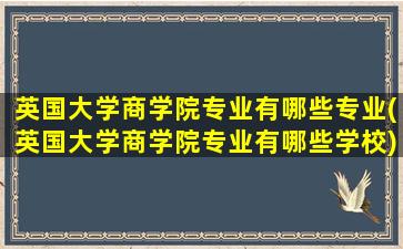 英国大学商学院专业有哪些专业(英国大学商学院专业有哪些学校)