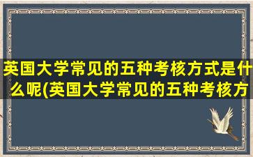 英国大学常见的五种考核方式是什么呢(英国大学常见的五种考核方式是什么样的)