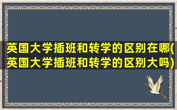 英国大学插班和转学的区别在哪(英国大学插班和转学的区别大吗)