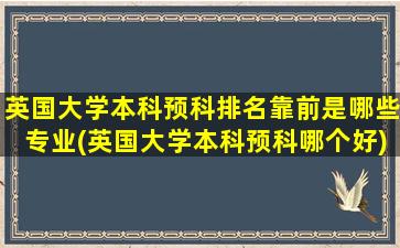 英国大学本科预科排名靠前是哪些专业(英国大学本科预科哪个好)