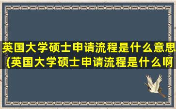 英国大学硕士申请流程是什么意思(英国大学硕士申请流程是什么啊)