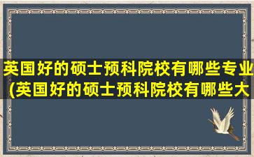 英国好的硕士预科院校有哪些专业(英国好的硕士预科院校有哪些大学)