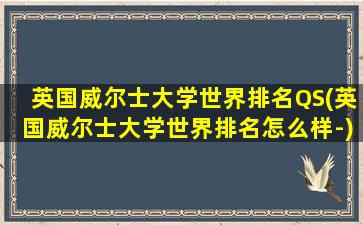 英国威尔士大学世界排名QS(英国威尔士大学世界排名怎么样-)