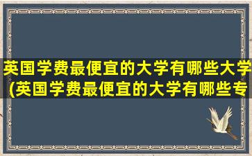 英国学费最便宜的大学有哪些大学(英国学费最便宜的大学有哪些专业)