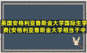 英国安格利亚鲁斯金大学国际生学费(安格利亚鲁斯金大学相当于中国什么大学)