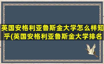 英国安格利亚鲁斯金大学怎么样知乎(英国安格利亚鲁斯金大学排名)