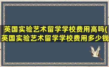 英国实验艺术留学学校费用高吗(英国实验艺术留学学校费用多少钱)