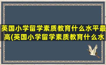 英国小学留学素质教育什么水平最高(英国小学留学素质教育什么水平可以考)