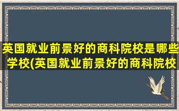 英国就业前景好的商科院校是哪些学校(英国就业前景好的商科院校是哪些)