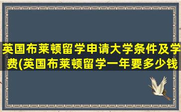 英国布莱顿留学申请大学条件及学费(英国布莱顿留学一年要多少钱)