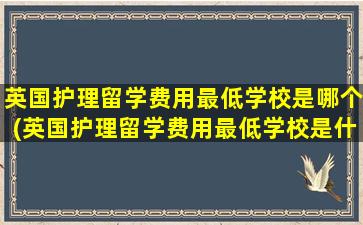 英国护理留学费用最低学校是哪个(英国护理留学费用最低学校是什么)