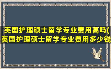 英国护理硕士留学专业费用高吗(英国护理硕士留学专业费用多少钱)