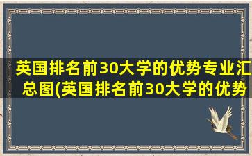 英国排名前30大学的优势专业汇总图(英国排名前30大学的优势专业汇总分析)