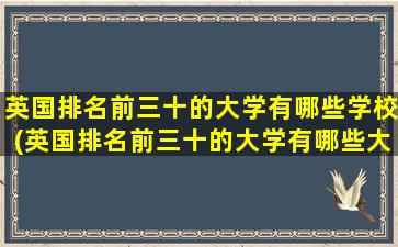 英国排名前三十的大学有哪些学校(英国排名前三十的大学有哪些大学)