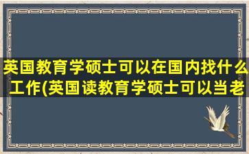 英国教育学硕士可以在国内找什么工作(英国读教育学硕士可以当老师吗)