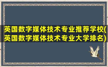 英国数字媒体技术专业推荐学校(英国数字媒体技术专业大学排名)