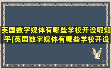 英国数字媒体有哪些学校开设呢知乎(英国数字媒体有哪些学校开设呢学生)