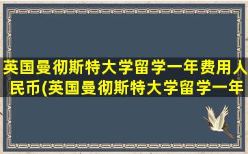 英国曼彻斯特大学留学一年费用人民币(英国曼彻斯特大学留学一年费用大概多少)