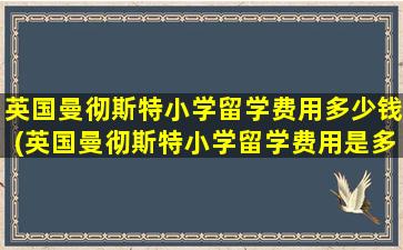 英国曼彻斯特小学留学费用多少钱(英国曼彻斯特小学留学费用是多少)